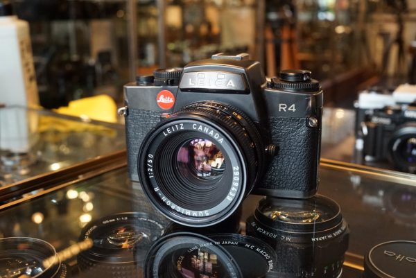 Leica R4 + Summicron-R 50mm f/2 R-Only