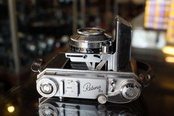 Kodak Retina IIa w/ Rodenstock Heligon 1:2 / 50mm
