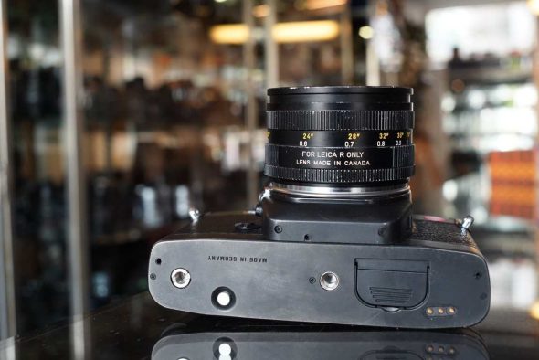Leica R7 + Summicron-R 50mm f/2 R-only