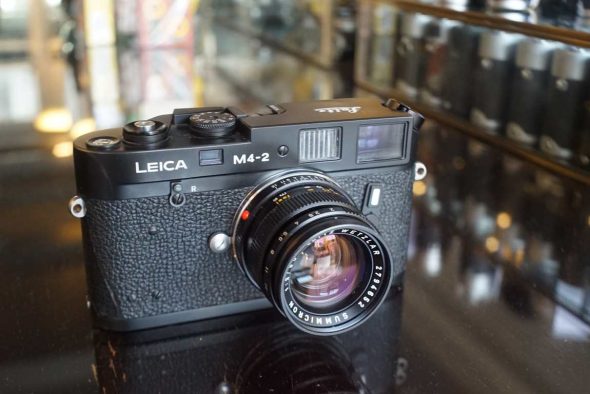 Leica M4-2 black + Summicron 50mm F/2 V3