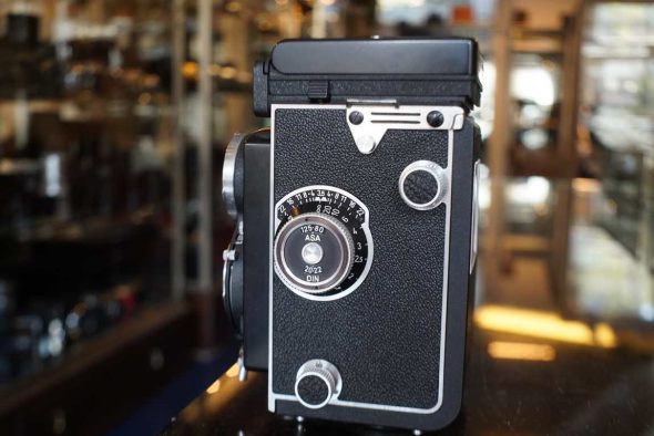 Rolleicord Vb w/ Xenar