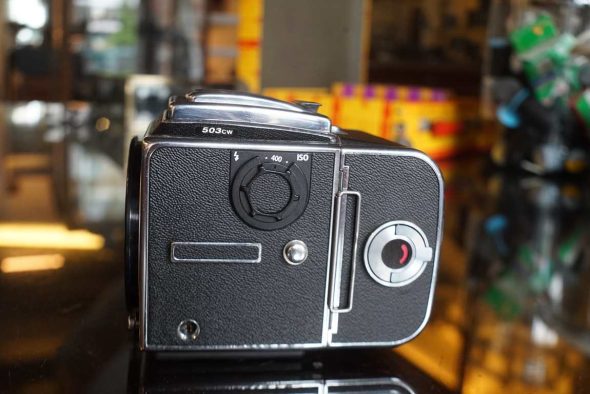 Hasselblad 503CW body + A12 filmback, freshly serviced