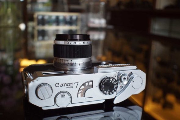 Canon 7 rangefinder + 50mm F/1.8 LTM lens