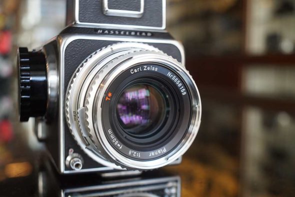 Hasselblad 500C/M + chrome 80mm F/2.8 T* coated lens and A12