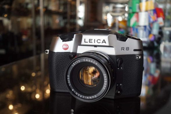 Leica R8 silver + Summicron-R 50mm F/2 lens