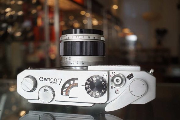 Canon 7 + Canon 50mm f/1.4 LTM kit