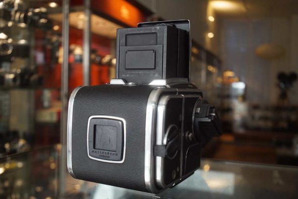 Hasselblad 503CW + Planar 100mm F/3.5 CFi + A12 + Winder CW